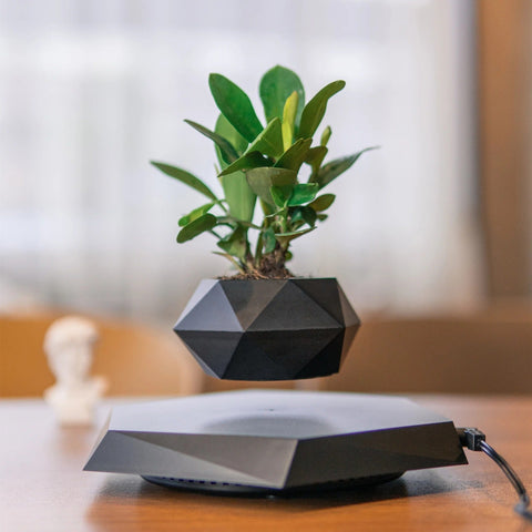 360 Degree Rotatable Air Hanging Magnetic Flower Pot 360 Degree Rotatable Air Hanging Magnetic Flower Pot