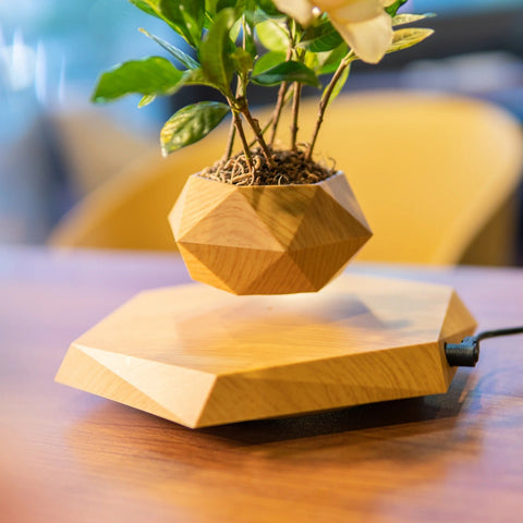 360 Degree Rotatable Air Hanging Magnetic Flower Pot 360 Degree Rotatable Air Hanging Magnetic Flower Pot